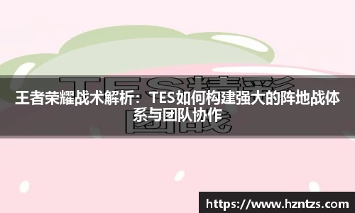 王者荣耀战术解析：TES如何构建强大的阵地战体系与团队协作